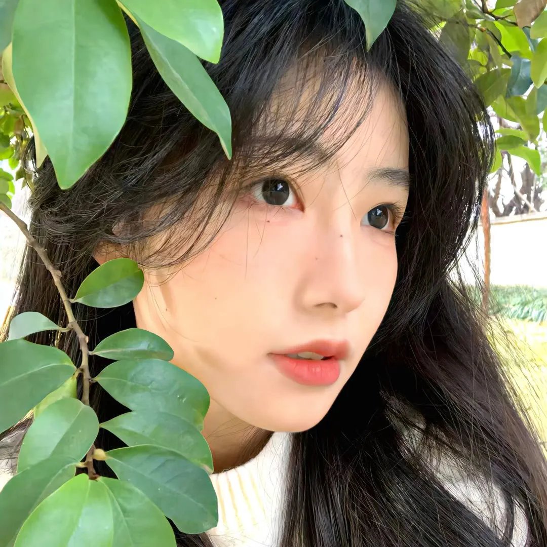 搭秋千的人