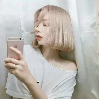 飞贼白菊花